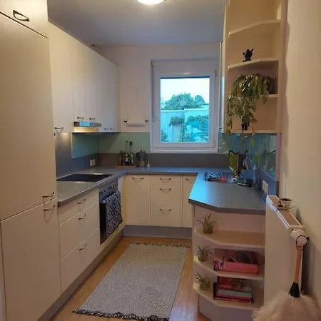 Apartament Schoene Helle Mit Whirlpoolbadewanne Graz