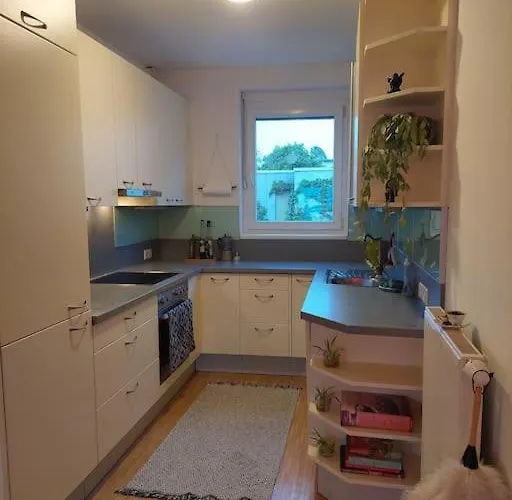 Apartment Schoene Helle Mit Whirlpoolbadewanne Graz